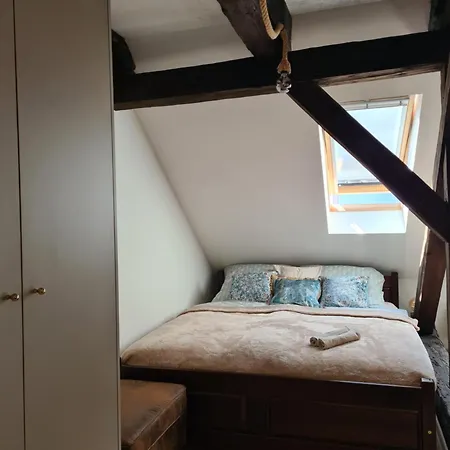 Heritage Beam Loft Brno