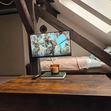 Heritage Beam Loft Brno