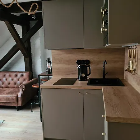 Heritage Beam Loft Apartmán Brno
