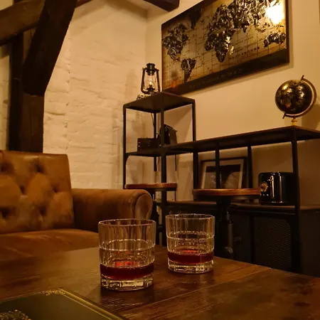 Heritage Beam Loft * Brno